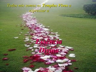 Todos nós somos os  Templos Vivos  a expressar a Essência Divina 