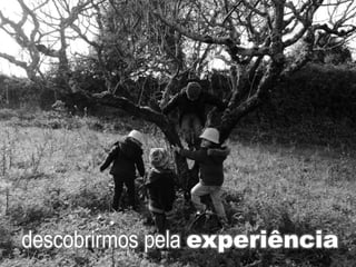 descobrirmos pela experiência
 