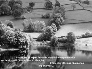 Talvez essas sejam feitas de silêncios compreendidos  ou de simpatia  mútua sem explicação.  Diferentes até, mas não menos importantes... 