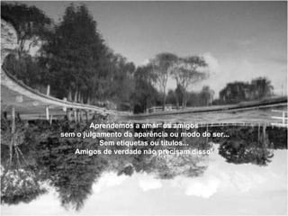 Aprendemos a amar  os amigos sem o julgamento da aparência ou modo de ser... Sem etiquetas ou títulos... Amigos de verdade não precisam disso! 