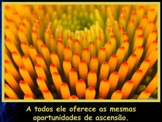 A todos ele oferece as mesmas oportunidades de ascensão. 