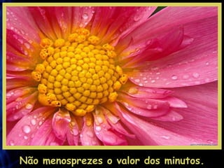 Não menosprezes o valor dos minutos. 