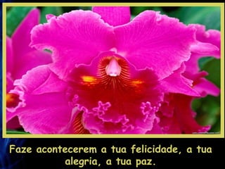 Faze acontecerem a tua felicidade, a tua alegria, a tua paz. 