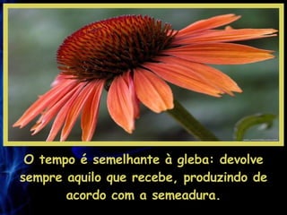 O tempo é semelhante à gleba: devolve sempre aquilo que recebe, produzindo de acordo com a semeadura. 