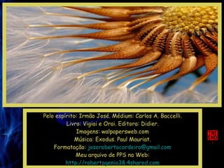 Pelo espírito: Irmão José. Médium: Carlos A. Baccelli. Livro: Vigiai e Orai. Editora: Didier. Imagens: walpapersweb.com Música: Exodus. Paul Mauriat. Formatação:  [email_address] Meu arquivo de PPS na Web: http://robertogenio38.4shared.com 