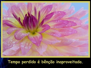 Tempo perdido é bênção inaproveitada. 