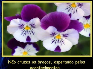 Não cruzes os braços, esperando pelos acontecimentos.  