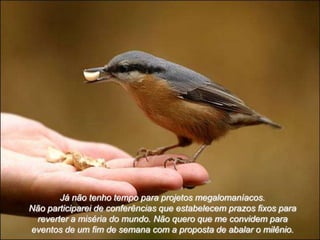 Já não tenho tempo para projetos megalomaníacos.
Não participarei de conferências que estabelecem prazos fixos para
 reverter a miséria do mundo. Não quero que me convidem para
eventos de um fim de semana com a proposta de abalar o milênio.
 