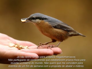 Já não tenho tempo para projetos megalomaníacos.  Não participarei de conferências que estabelecem prazos fixos para reverter a miséria do mundo. Não quero que me convidem para eventos de um fim de semana com a proposta de abalar o milênio.  