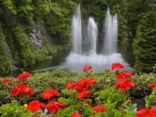 Lembrei-me agora de Mário de Andrade que afirmou: "as pessoas não debatem conteúdos, apenas os rótulos". Meu tempo tornou-se escasso para debater rótulos, quero a essência, minha alma tem pressa... 