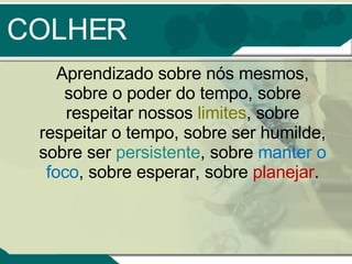 COLHER Aprendizado sobre nós mesmos, sobre o poder do tempo, sobre respeitar nossos  limites , sobre respeitar o tempo, sobre ser humilde, sobre ser  persistente , sobre  manter o foco , sobre esperar, sobre  planejar . 