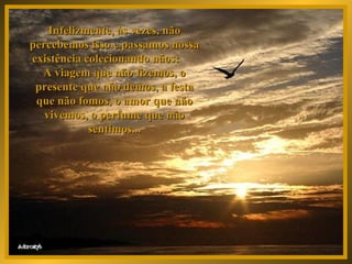Infelizmente, às vezes, não percebemos isso e passamos nossa existência colecionando nãos:  A viagem que não fizemos, o presente que não demos, a festa que não fomos, o amor que não vivemos, o perfume que não sentimos... 