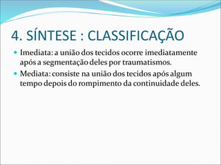 4. SÍNTESE : CLASSIFICAÇÃO
 Imediata: a união dos tecidos ocorre imediatamente
após a segmentaçãodeles por traumatismos.
 Mediata: consiste na união dos tecidos após algum
tempo depois do rompimento da continuidade deles.
 