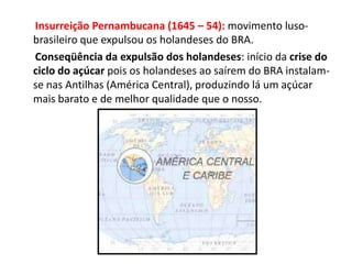 Insurreição Pernambucana (1645 – 54): movimento luso-
brasileiro que expulsou os holandeses do BRA.
Conseqüência da expulsão dos holandeses: início da crise do
ciclo do açúcar pois os holandeses ao saírem do BRA instalam-
se nas Antilhas (América Central), produzindo lá um açúcar
mais barato e de melhor qualidade que o nosso.
 