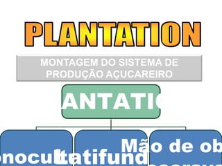 MONTAGEM DO SISTEMA DE
PRODUÇÃO AÇUCAREIRO
PLANTATION
onoculturaLatifundio
Mão de ob
 