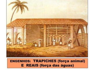 ENGENHOS: TRAPICHES (força animal)
E REAIS (força das águas)
 