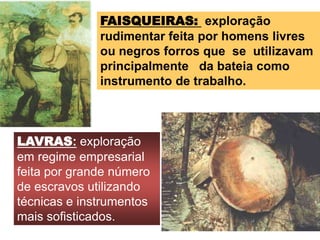 FAISQUEIRAS: exploração
rudimentar feita por homens livres
ou negros forros que se utilizavam
principalmente da bateia como
instrumento de trabalho.
LAVRAS: exploração
em regime empresarial
feita por grande número
de escravos utilizando
técnicas e instrumentos
mais sofisticados.
 