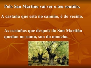 Polo San Martino vai ver o teu soutiño. As castañas que despois do San Martiño  quedan no souto, son do moucho. A castaña que está no camiño, é do veciño. 