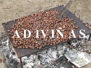 ADIVIÑAS 