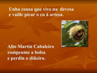 Unha cousa que vive na  devesa e vaille picar o cu á artesa. Alto Martín Cabaleiro rompeume a bolsa e perdín o diñeiro. 