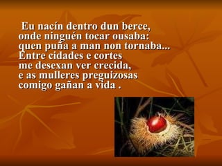 Eu nacín dentro dun berce, onde ninguén tocar ousaba: quen puña a man non tornaba... Entre cidades e cortes me desexan ver crecida, e as mulleres preguizosas comigo gañan a vida . 