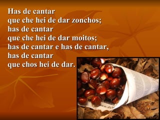 Has de cantar que che hei de dar zonchos; has de cantar que che hei de dar moitos; has de cantar e has de cantar, has de cantar que chos hei de dar. 