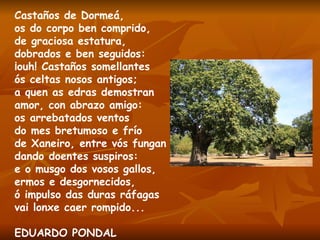 Castaños de Dormeá, os do corpo ben comprido, de graciosa estatura, dobrados e ben seguidos: ¡ouh! Castaños somellantes ós celtas nosos antigos; a quen as edras demostran amor, con abrazo amigo: os arrebatados ventos do mes bretumoso e frío de Xaneiro, entre vós fungan dando doentes suspiros:  e o musgo dos vosos gallos,  ermos e desgornecidos, ó impulso das duras ráfagas vai lonxe caer rompido... EDUARDO PONDAL 