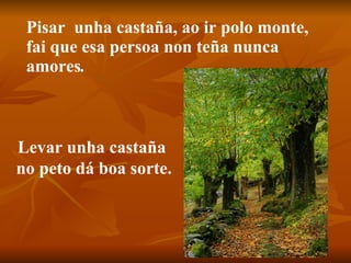 Pisar  unha castaña, ao ir polo monte, fai que esa persoa non teña nunca amores .  Levar unha castaña  no peto dá boa sorte. 