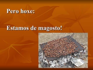 Pero hoxe: Estamos de magosto! 