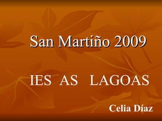 San Martiño 2009 IES  AS  LAGOAS Celia Díaz 