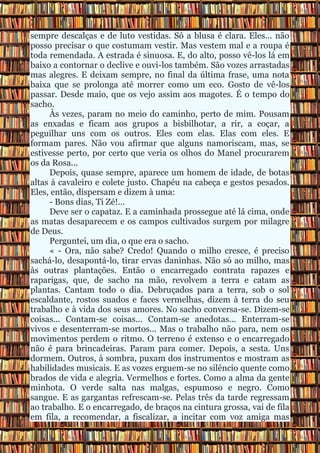 Tempo do sacho PDF