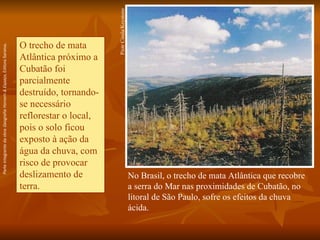 Piotr Ciesla/Keystone No Brasil, o trecho de mata Atlântica que recobre a serra do Mar nas proximidades de Cubatão, no litoral de São Paulo, sofre os efeitos da chuva ácida. O trecho de mata Atlântica próximo a Cubatão foi parcialmente destruído, tornando-se necessário reflorestar o local, pois o solo ficou exposto à ação da água da chuva, com risco de provocar deslizamento de terra. Parte integrante da obra  Geografia Homem & Espaço , Editora Saraiva. 