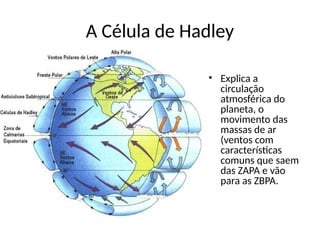 A Célula de Hadley
• Explica a
circulação
atmosférica do
planeta, o
movimento das
massas de ar
(ventos com
características
comuns que saem
das ZAPA e vão
para as ZBPA.
 