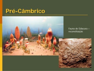 Pré-Câmbrico

               Fauna de Ediacara –
               reconstituição
 