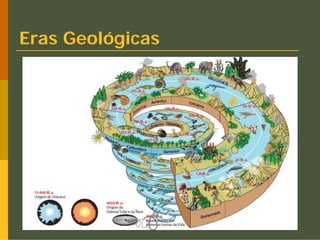 Eras Geológicas
 