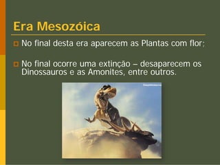 Era Mesozóica
 No final desta era aparecem as Plantas com flor;

 No final ocorre uma extinção – desaparecem os
 Dinossauros e as Amonites, entre outros.
 