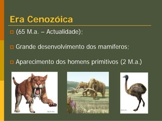 Era Cenozóica
 (65 M.a. – Actualidade);

 Grande desenvolvimento dos mamíferos;

 Aparecimento dos homens primitivos (2 M.a.)
 