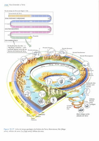 2661 Para Entender a Terra
Fita do tempo da Terra (ver Figura 1.12)
Acrescimento da Terra
ÉONS HADEANO E ARQUEANO
2500~==============================================~
ÉON PROTEROZÓICO
500~====================='----------------------~
ÉON FANEROZÓICO
Período Pensilvaniano
I íeríodo Mississippiano
Células
;;J~~:iS'!!!!!!)antigas
Mais antiga rocha
datada da Terro
Figura 10.17 Linha do tempo geológico da história da Terra. Abreviaturas: Ma (Mega
annu), milhões de anos; Ga (Ciga annu), bilhões de anos.
 