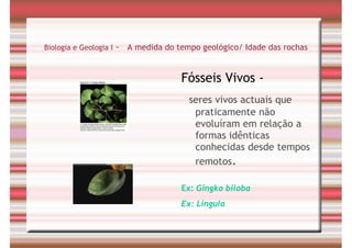 Tempo Geológico/ Fósseis/ Estratigrafia