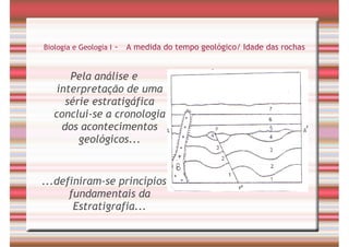 Tempo Geológico/ Fósseis/ Estratigrafia