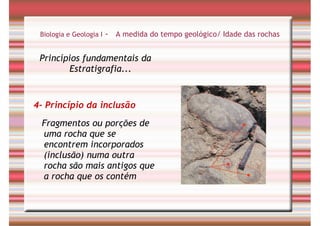Tempo Geológico/ Fósseis/ Estratigrafia
