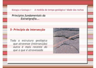 Tempo Geológico/ Fósseis/ Estratigrafia