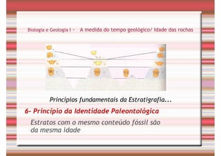 Tempo Geológico/ Fósseis/ Estratigrafia