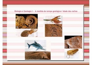 Tempo Geológico/ Fósseis/ Estratigrafia