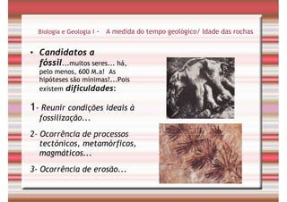 Tempo Geológico/ Fósseis/ Estratigrafia