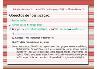 Tempo Geológico/ Fósseis/ Estratigrafia