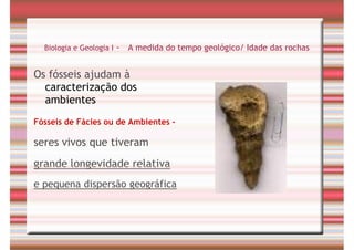 Tempo Geológico/ Fósseis/ Estratigrafia