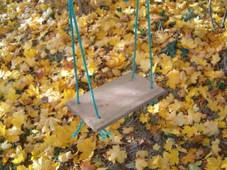 Já não tenho tempo para reuniões intermináveis para discutir estatutos, normas, procedimentos e regimentos internos.  Já não tenho tempo para administrar melindres de pessoas, que apesar da idade cronológica, são imaturos.  