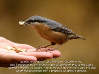 Já não tenho tempo para projectos megalómanos.  Não participarei de conferências que estabelecem prazos fixos para reverter a miséria do mundo. Não quero que me convidem para eventos de um fim de semana com a proposta de abalar o milénio.  