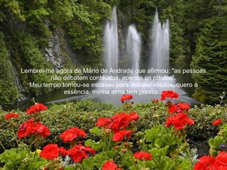 Lembrei-me agora de Mário de Andrade que afirmou: "as pessoas não debatem conteúdos, apenas os rótulos". Meu tempo tornou-se escasso para debater rótulos, quero a essência, minha alma tem pressa... 